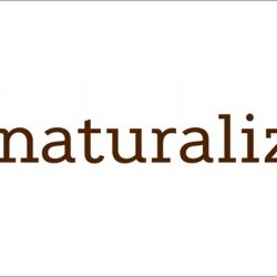 Coupon for: Champlain place - NATURALIZER - Extra 20% off