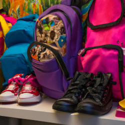 Coupon for: adidas Back to School Special