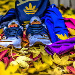 Coupon for: adidas Fall Footwear and Apparel Sale