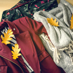 Coupon for: Aeropostale Fall Collection Sale