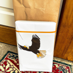Coupon for: American Eagle Outfitters Free Shipping Offer