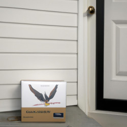 Coupon for: American Eagle Outfitters Free Shipping Offer