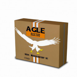 Coupon for: American Eagle Outfitters Free Shipping Offer