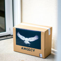 Coupon for: American Eagle Outfitters Free Shipping Offer