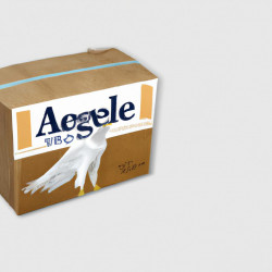 Coupon for: American Eagle Outfitters Free Shipping Offer