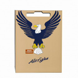 Coupon for: American Eagle Outfitters Free Shipping Offer