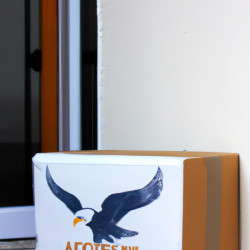 Coupon for: American Eagle Outfitters Free Shipping Offer