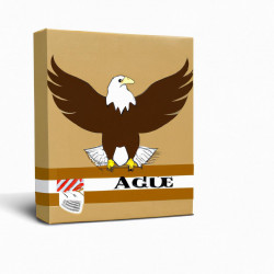 Coupon for: American Eagle Outfitters Free Shipping Offer