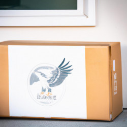 Coupon for: American Eagle Outfitters Free Shipping Offer