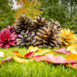 Coupon for: As Seen on TV Free Gift Promotion