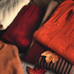 Coupon for: Bluenotes Fall Collection Discount