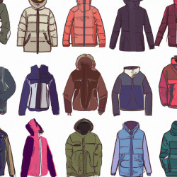 Coupon for: Bluenotes Winter Jacket Sale