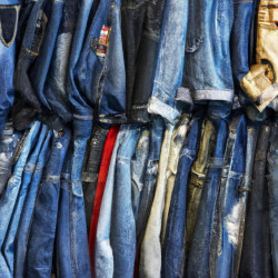 Coupon for: Bluenotes Denim BOGO Sale