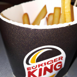 Coupon for: Burger King Free Fries App Offer