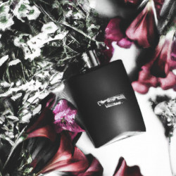 Coupon for: Calvin Klein Fragrance Offer