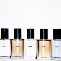 Coupon for: Calvin Klein Fragrance Promotion