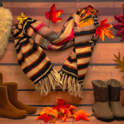 Coupon for: Chico's Fall Collection Free Shipping