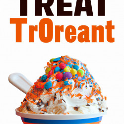 Coupon for: Dairy Queen Summer Blizzard Discount
