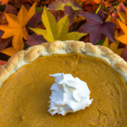 Coupon for: Dairy Queen Pumpkin Pie Blizzard Special