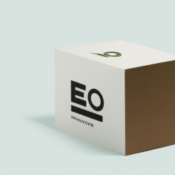 Coupon for: Ecco Shoes Free Shipping Offer