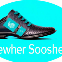 Coupon for: Ecco Shoes Newsletter Discount