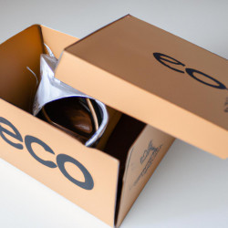 Coupon for: Ecco Shoes Free Shipping Offer