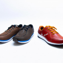 Coupon for: Ecco Shoes BOGO Offer