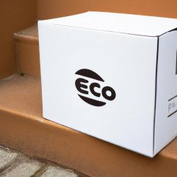 Coupon for: Ecco Shoes Free Shipping Offer