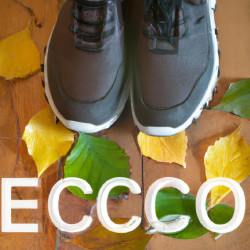 Coupon for: Ecco Shoes Fall Style Promotion