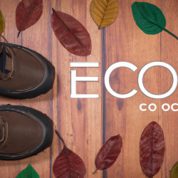 Coupon for: Ecco Shoes Fall Sale