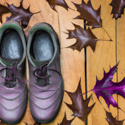 Coupon for: Ecco Shoes October Sale
