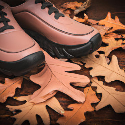 Coupon for: Ecco Shoes October Sale