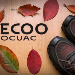 Coupon for: Ecco Shoes November Sale