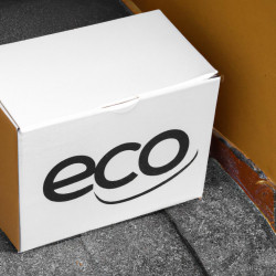 Coupon for: Ecco Shoes Free Shipping Offer
