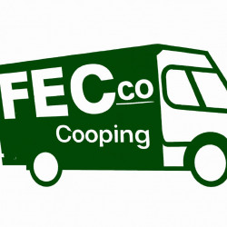 Coupon for: Ecco Shoes Free Shipping Offer