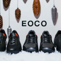 Coupon for: Ecco Shoes Winter Sale