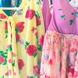 Coupon for: Express Spring Collection Sale
