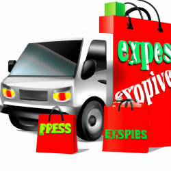Coupon for: Express Free Shipping Offer