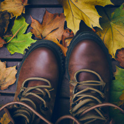 Coupon for: Famous Footwear Fall Savings
