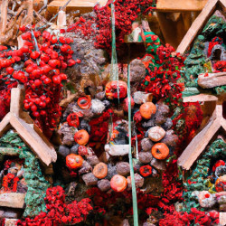 Coupon for: Hallmark Christmas in June