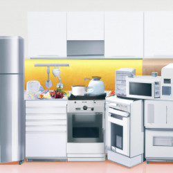 Coupon for: Sears Home Appliance Discount