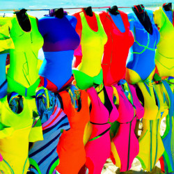 Coupon for: Tommy Bahama Swimwear BOGO Offer