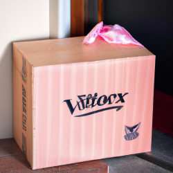Coupon for: Victoria's Secret Free Shipping Offer