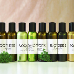 Coupon for: Yves Rocher Hair Care Offer